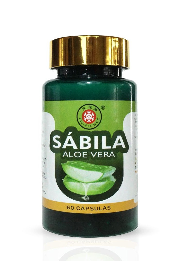Sábila Aloe Vera 60 unidades
