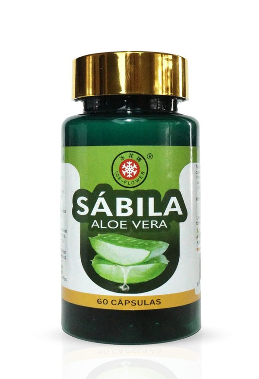 Sábila Aloe Vera 60 unidades